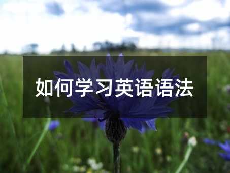 如何学习英语语法
