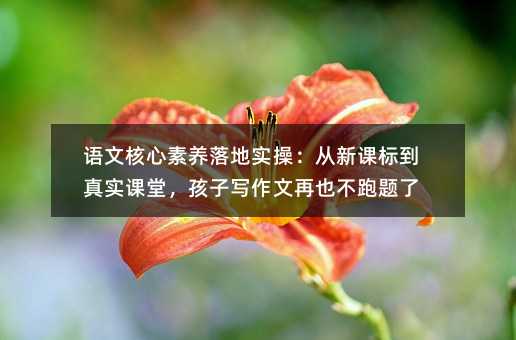 语文核心素养落地实操:从新课标到真实课堂,孩子写作文再也不跑题了