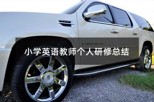 小学英语教师个人研修总结