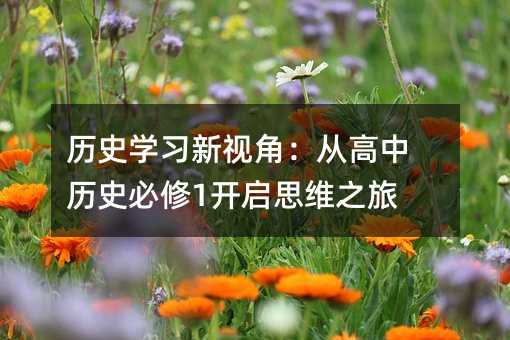 ʷѧϰӽǣӸʷ1˼ά֮