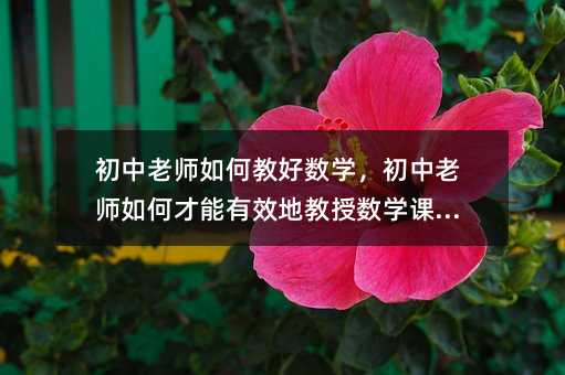 ʦν̺ѧʦβЧؽѧγ̣