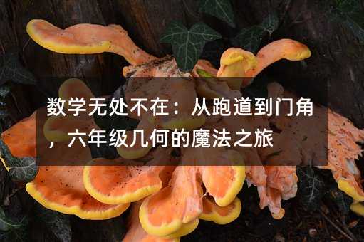 ѧ޴ڣܵŽǣ꼶εħ֮