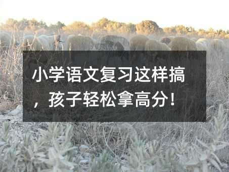 小学语文复习这样搞,孩子轻松拿高分!