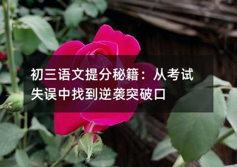 初三语文提分秘籍:从考试失误中找到逆袭突破口