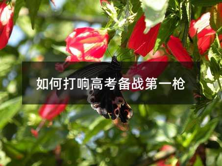 如何打响高考备战第一枪