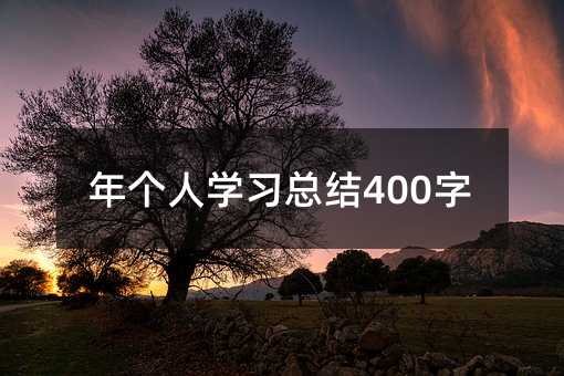 年个人学习总结400字