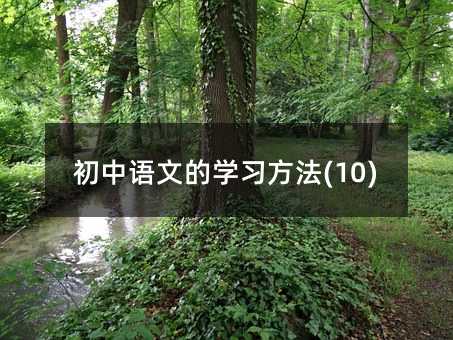 初中语文的学习方法(10)