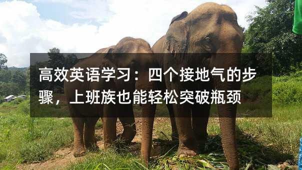 ЧӢѧϰĸӵĲ裬ϰҲͻƿ