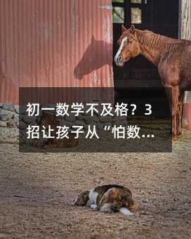 初一数学不及格?3招让孩子从“怕数学”到“爱数学”