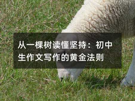 从一棵树读懂坚持:初中生作文写作的黄金法则