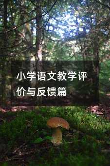 小学语文教学评价与反馈篇