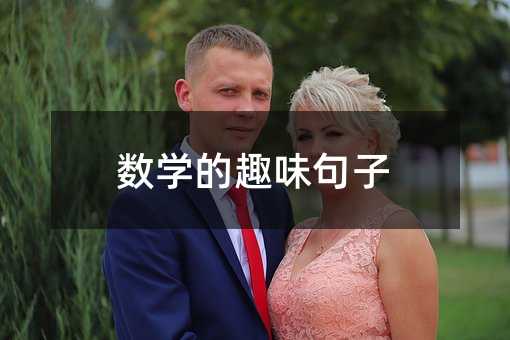 数学的趣味句子