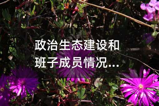 政治生态建设和班子成员情况报告