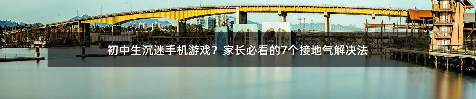 初中生沉迷手机游戏?家长必看的7个接地气解决法