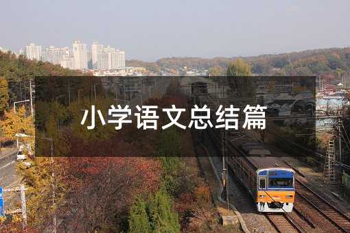 小学语文总结篇