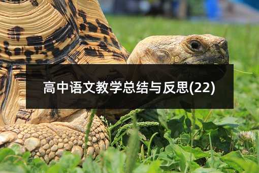 高中语文教学总结与反思(22)