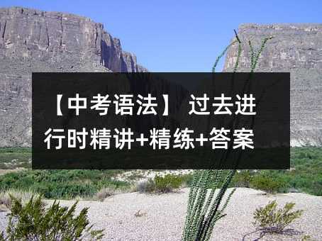 【中考语法】 过去进行时精讲+精练+答案