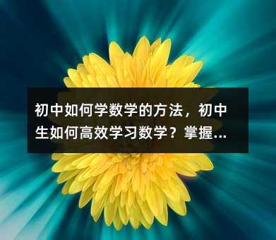 �������ѧ��ѧ�ķ�������������θ�Чѧϰ��ѧ��������Щ���������ɼ���