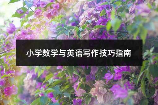 小学数学与英语写作技巧指南