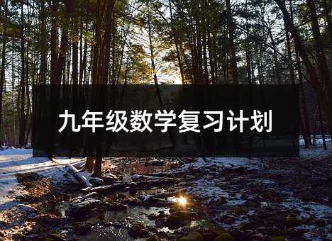 九年级数学复习计划