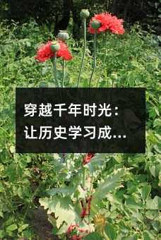 穿越千年时光:让历史学习成为孩子成长的催化剂