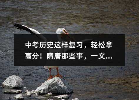 中考历史这样复习,轻松拿高分!隋唐那些事,一文搞定