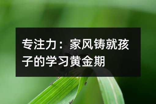 专注力:家风铸就孩子的学习黄金期