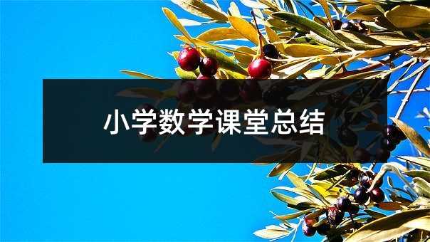 小学数学课堂总结