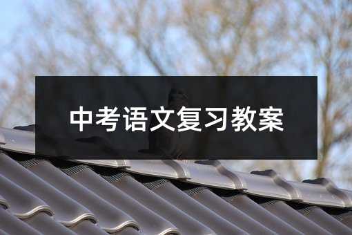 中考语文复习教案