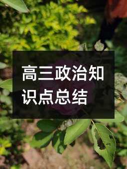 高三政治知识点总结
