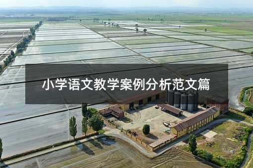 小学语文教学案例分析范文篇