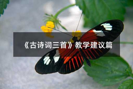 《古诗词三首》教学建议篇
