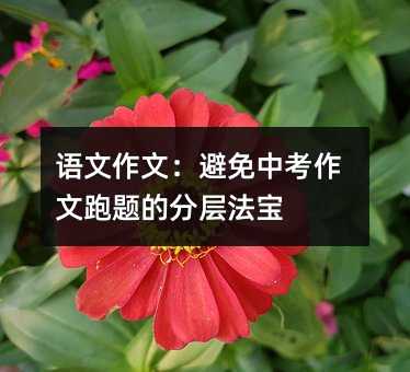 语文作文:避免中考作文跑题的分层法宝