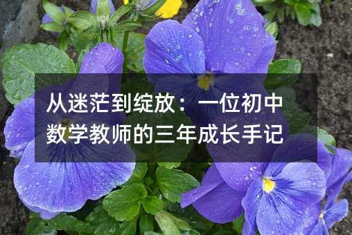 从迷茫到绽放:一位初中数学教师的三年成长手记