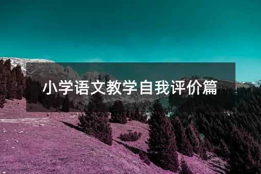 小学语文教学自我评价篇