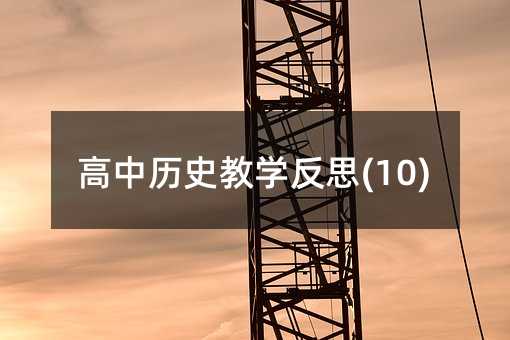 高中历史教学反思(10)