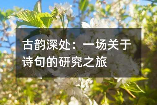 古韵深处:一场关于诗句的研究之旅
