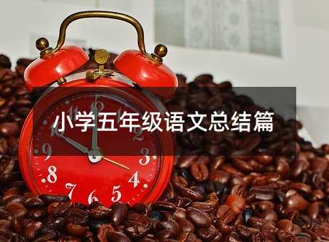 小学五年级语文总结篇