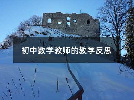 初中数学教师的教学反思