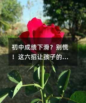 初中成绩下滑?别慌!这六招让孩子的学习重回正轨