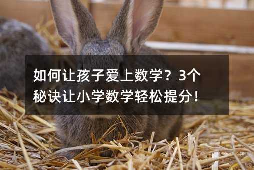 如何让孩子爱上数学?3个秘诀让小学数学轻松提分!