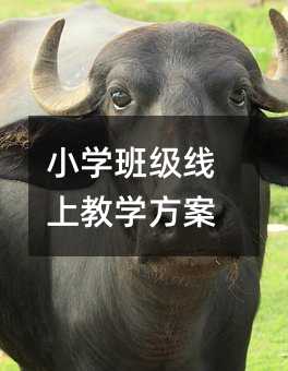 小学班级线上教学方案