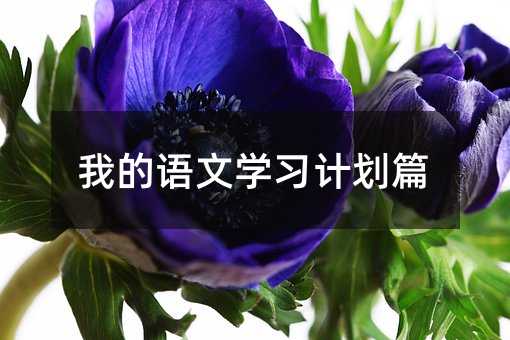 我的语文学习计划篇