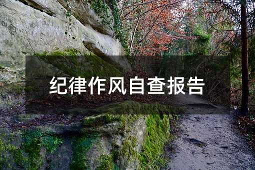 纪律作风自查报告