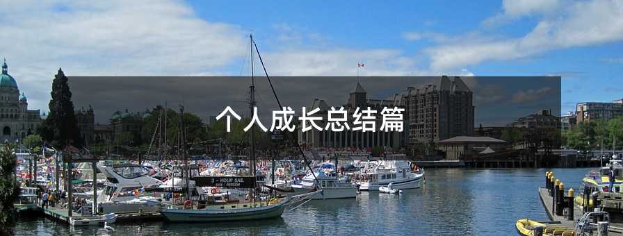 个人成长总结篇