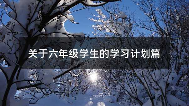 关于六年级学生的学习计划篇