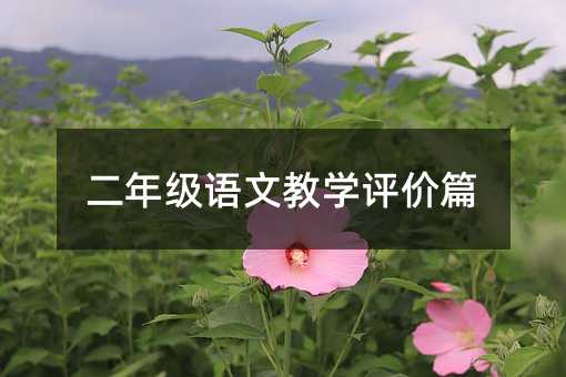 二年级语文教学评价篇