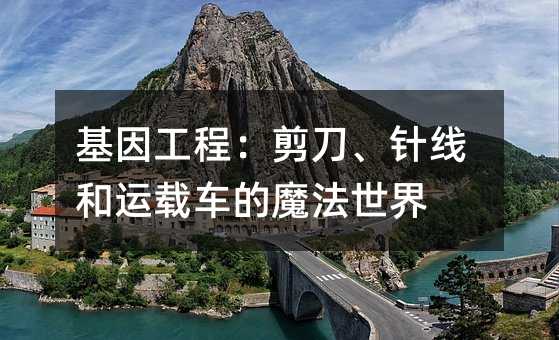 基因工程:剪刀、针线和运载车的魔法世界