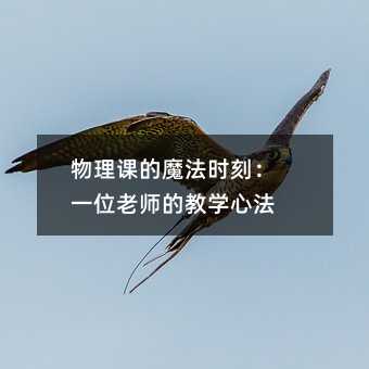 物理课的魔法时刻:一位老师的教学心法