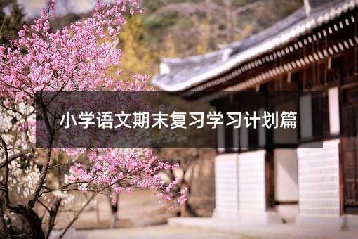 小学语文期末复习学习计划篇